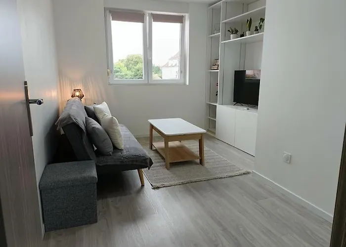 Appartement Entier F3 Renove - Petite Pause A Selestat