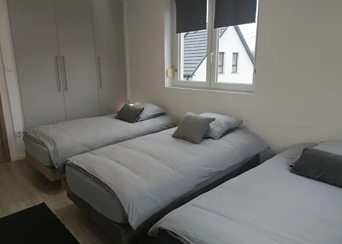 Appartement Entier F3 Renove - Petite Pause A Selestat