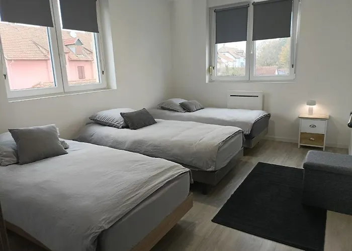 Appartement Entier F3 Renove - Petite Pause A Selestat
