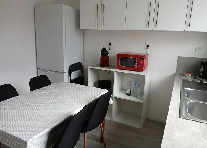 Appartement Entier F3 Renove - Petite Pause A Selestat
