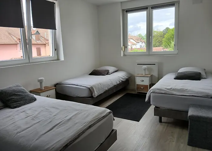 Appartement Entier F3 Renove - Petite Pause A Selestat