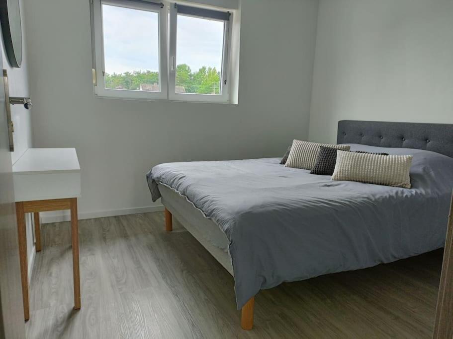 Apartment Entier F3 Renove - Petite Pause A Selestat