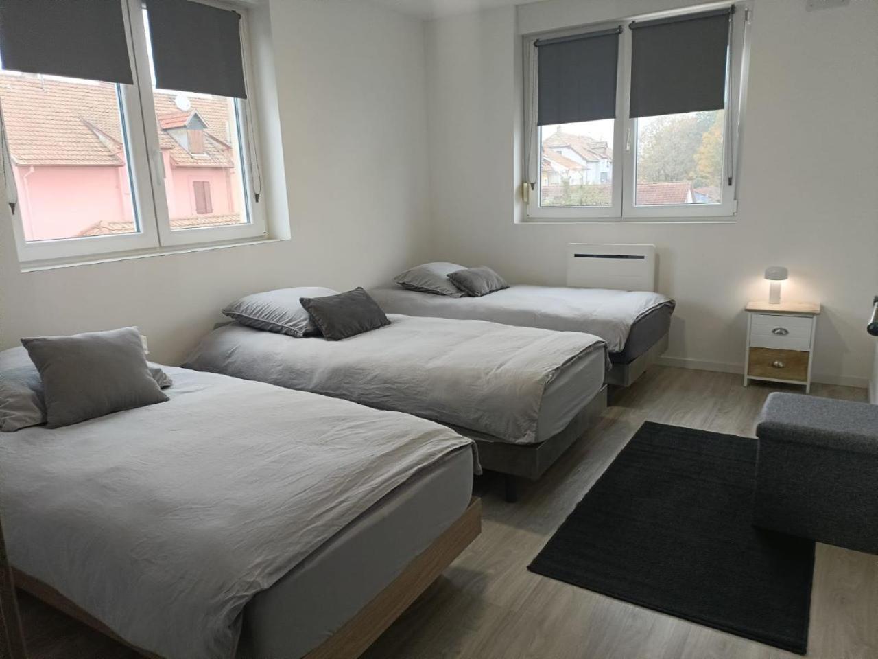 Apartment Entier F3 Renove - Petite Pause A Selestat